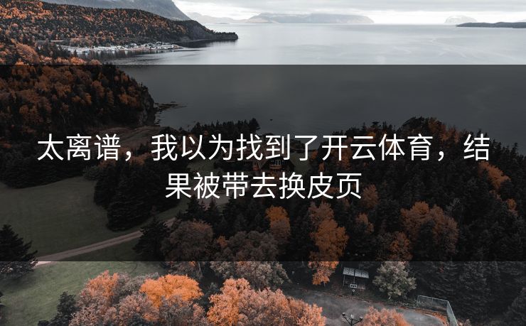 太离谱，我以为找到了开云体育，结果被带去换皮页