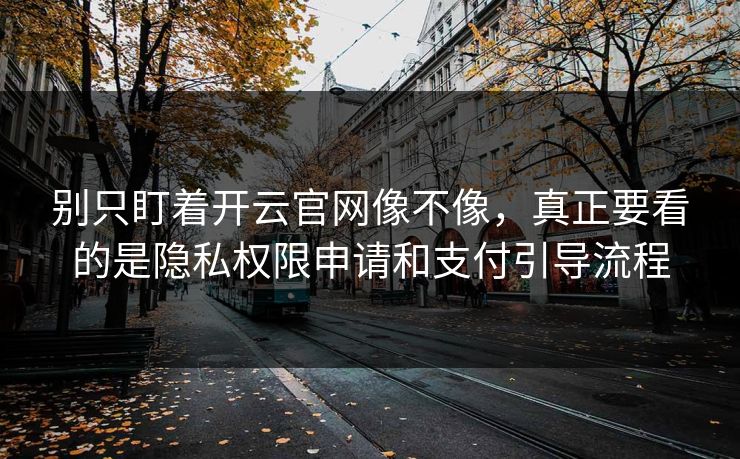 别只盯着开云官网像不像，真正要看的是隐私权限申请和支付引导流程